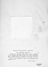 Image Associated With the Occurence